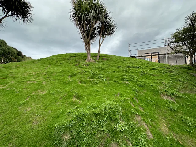 Established grass on a hydroseeded slope at Peka Peka