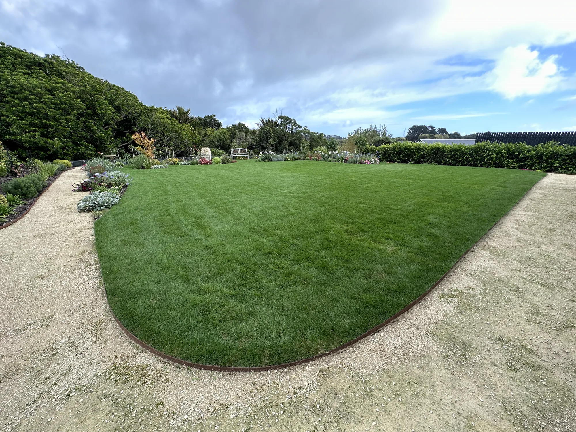 Established fine fescue lawn — turf programme result